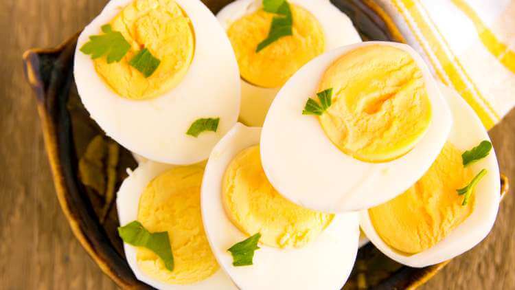 The Egg Diet