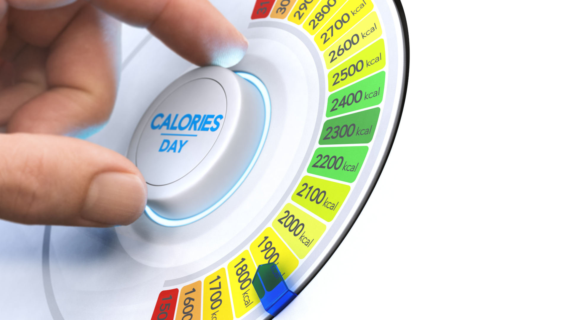 1500 Calorie Diet Plan - Can You Lose Weight in 7 Days?