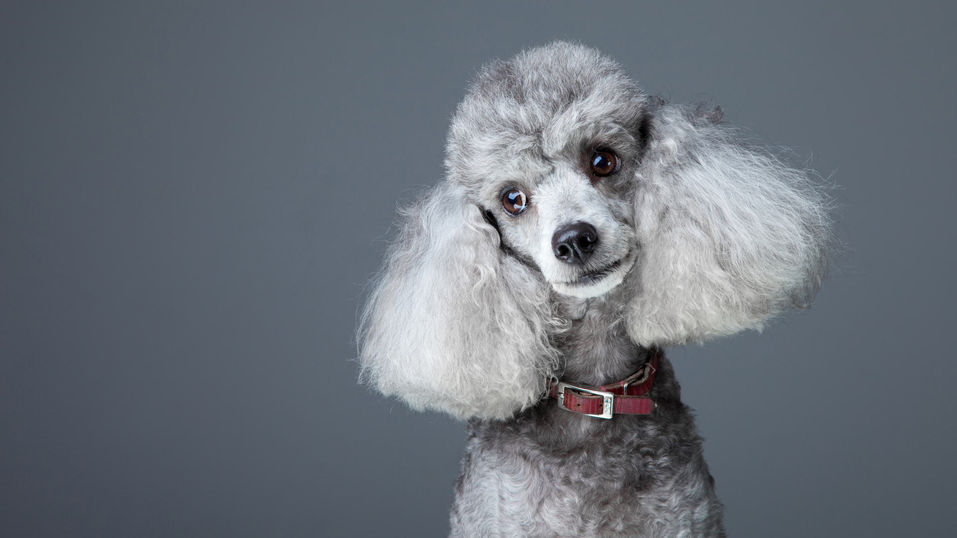 Compare Your Weight Loss Results to Objects to See Progress