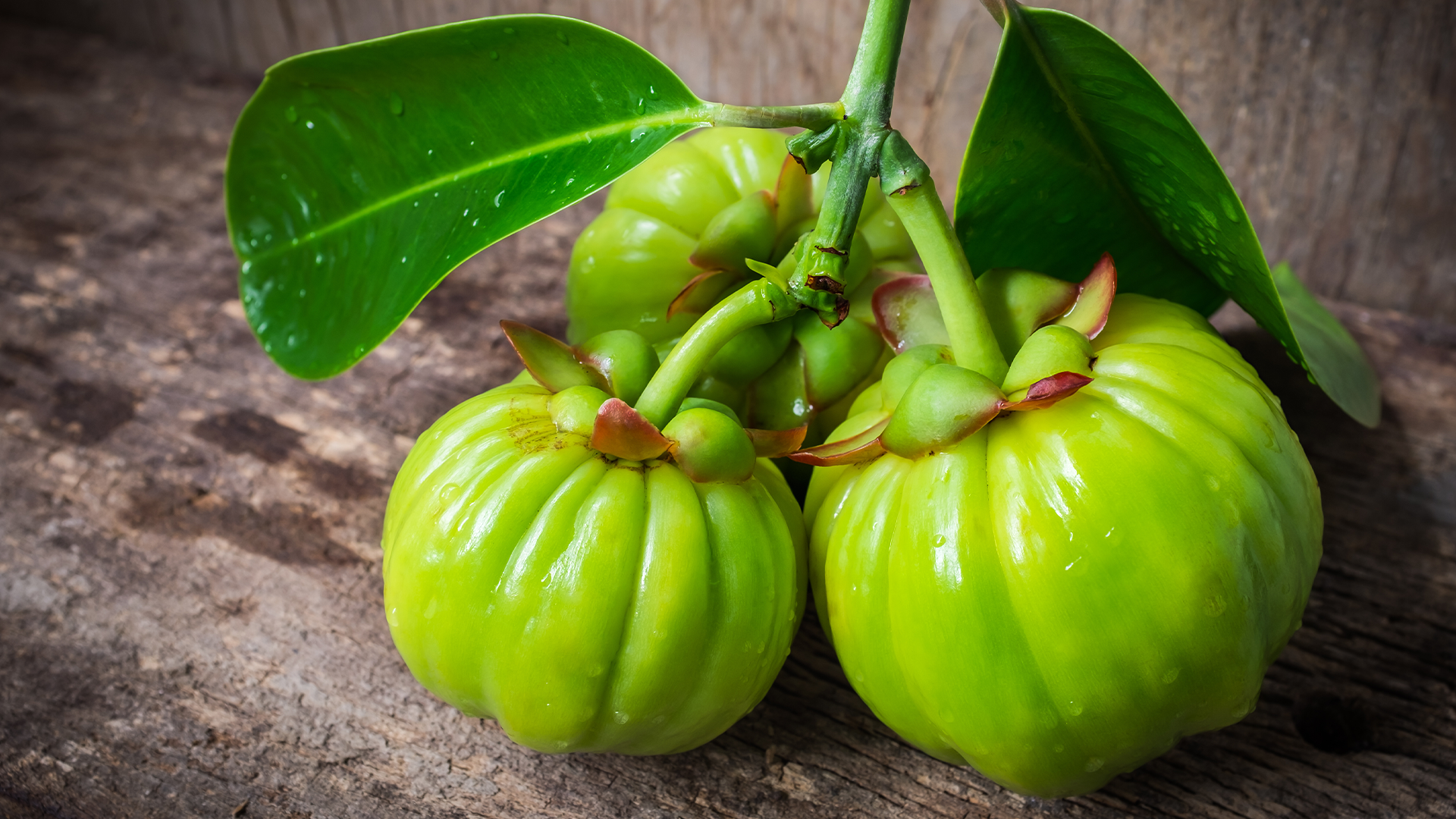 Garcinia fruit