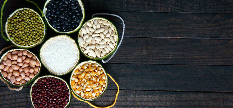Our Guide to Fiber