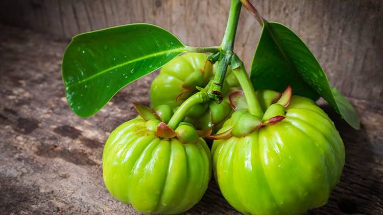 Does Garcinia Cambogia Help You Lose Weight & Burn Fat?