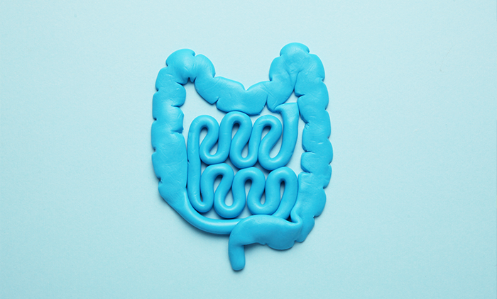 What is Leaky Gut Syndrome