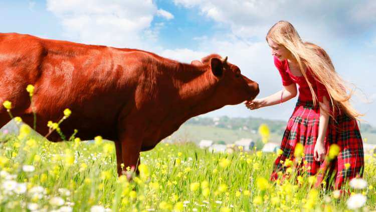 World vegan day