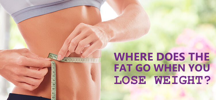 Where Does Fat Go When You Lose Weight?