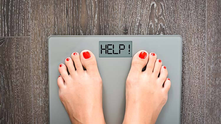 What Is The Obesity Scale?