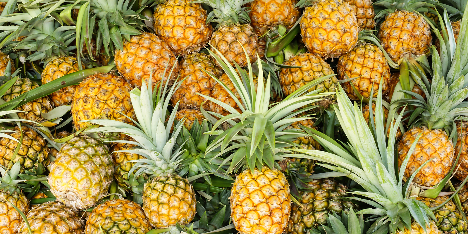 Does pineapple juice help you lose weight?