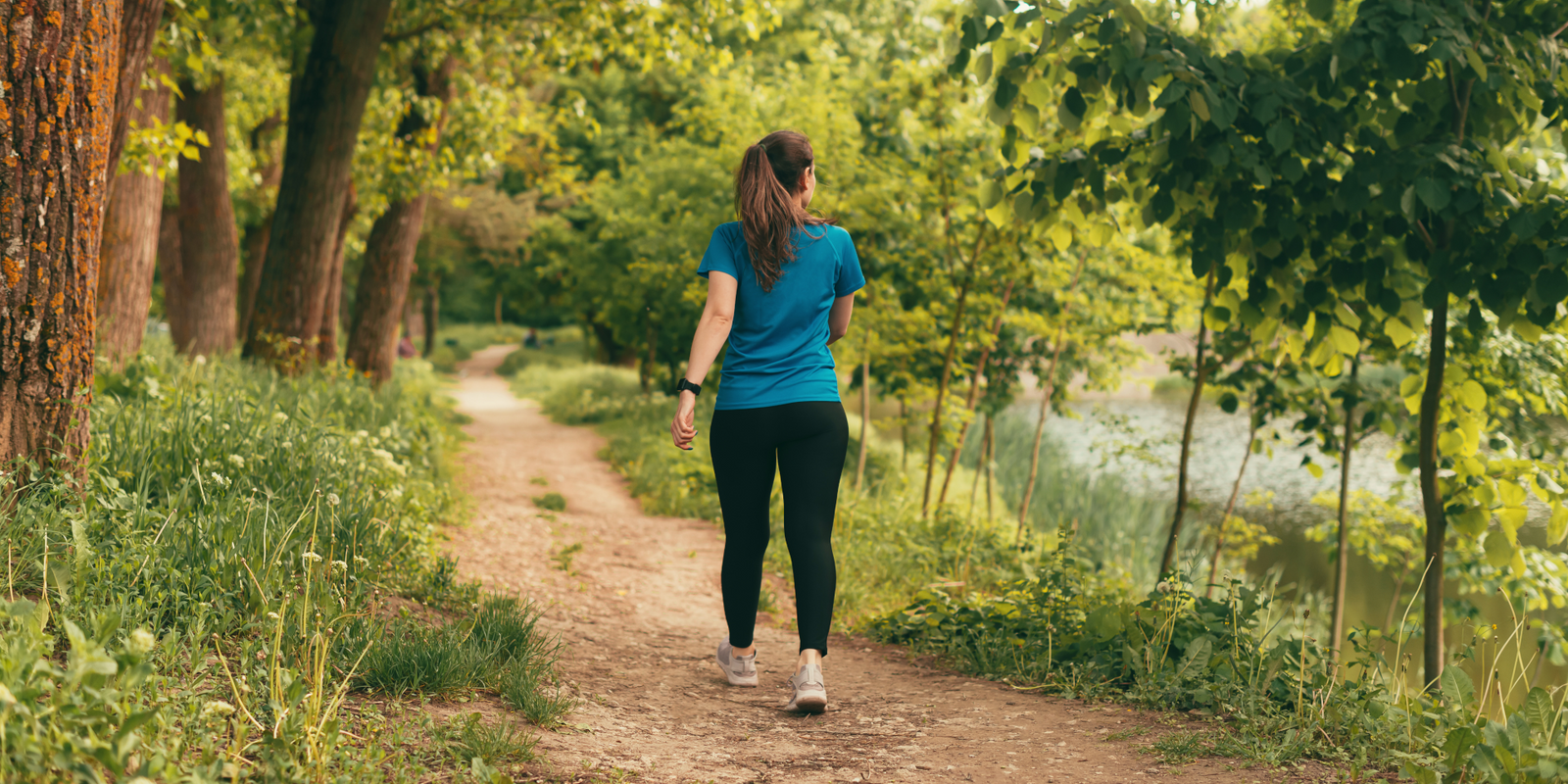 walking and Cortisol