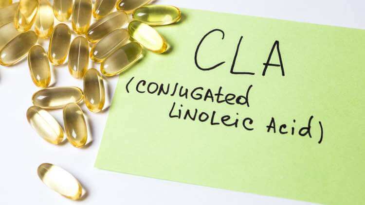 CLA for Weight Loss